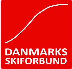 DSkiF logo
