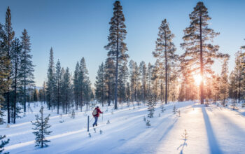Panoramic,View,Of,Man,Cross-country,Skiing,On,A,Track,In